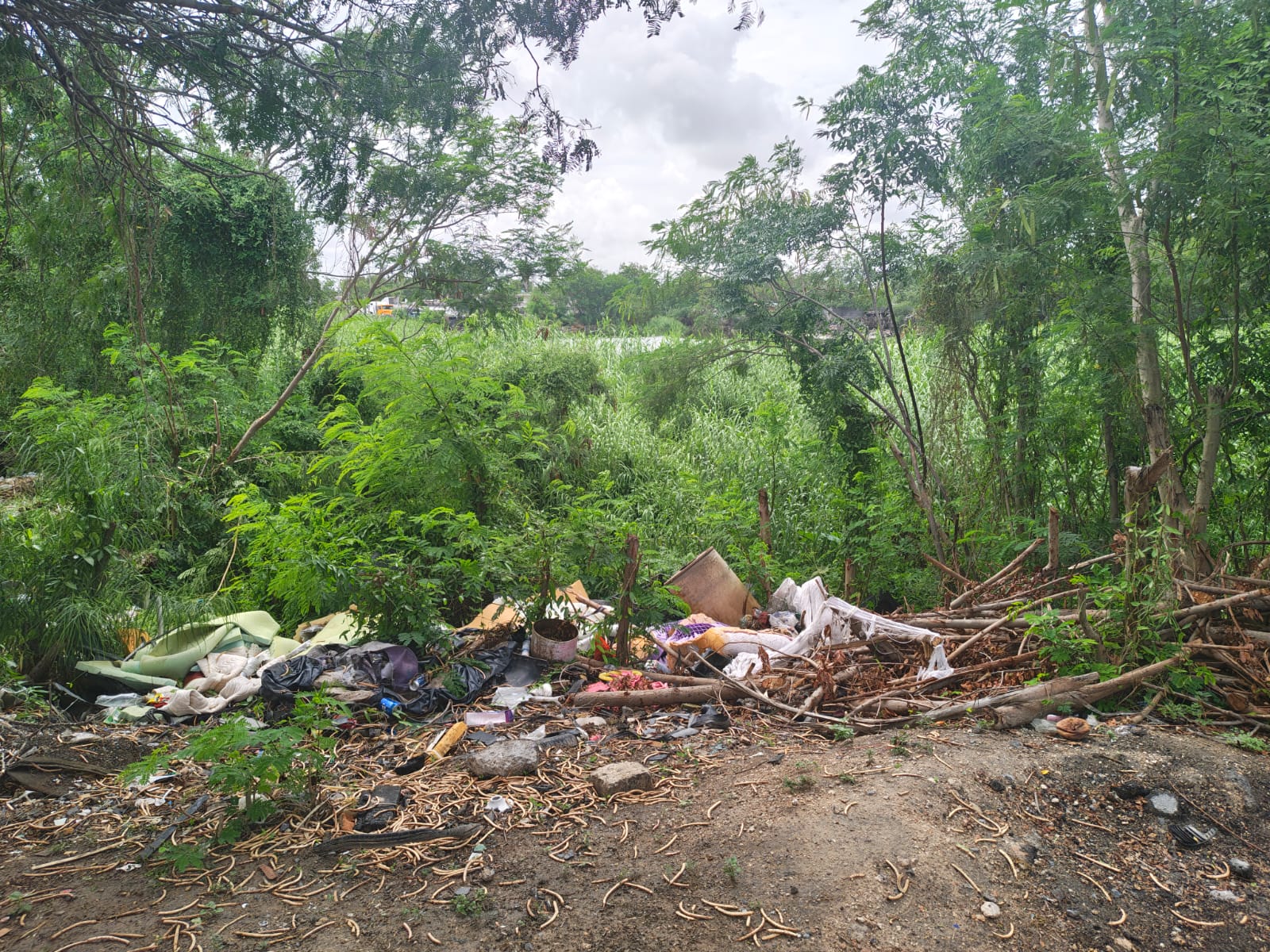 Imagen de la obra